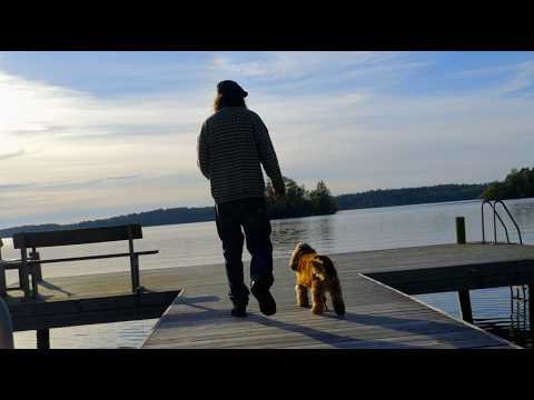 youtube image